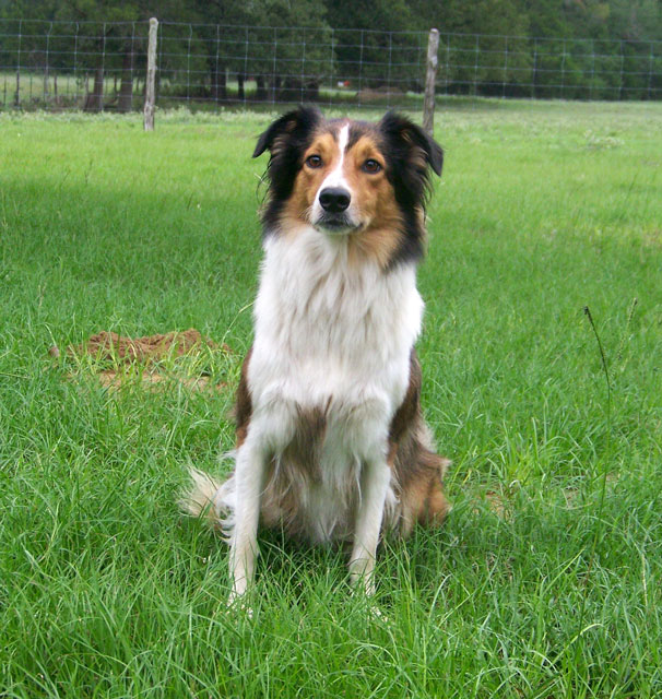 /i/Copper x Maggie/Mocha2YO.jpg